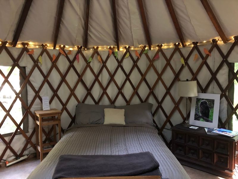 How to Book Your Stay at Camp Cruz