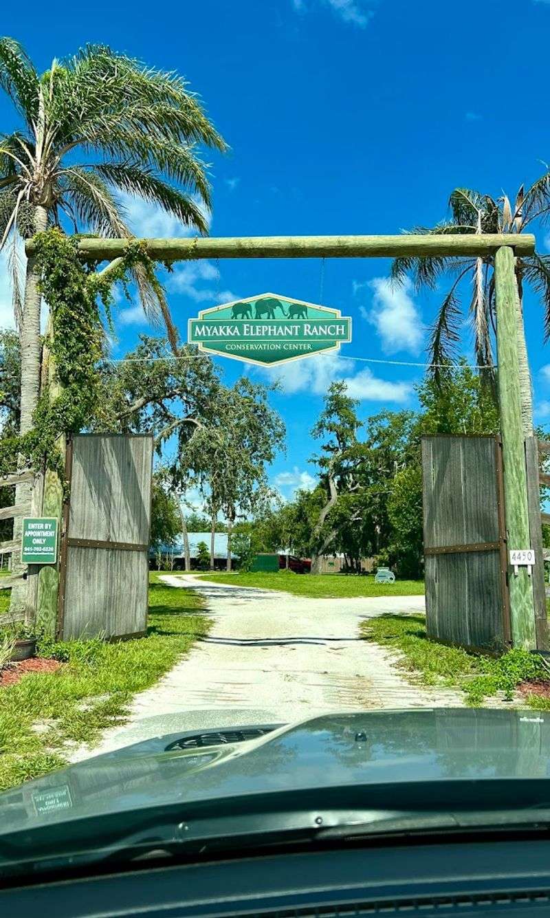 How to Get There and What to Expect on Arrival