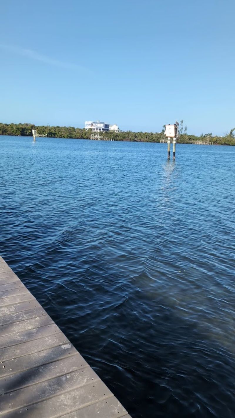 How to Navigate the Kayak Launch Like a Pro How to Navigate the Kayak Launch Like a Pro