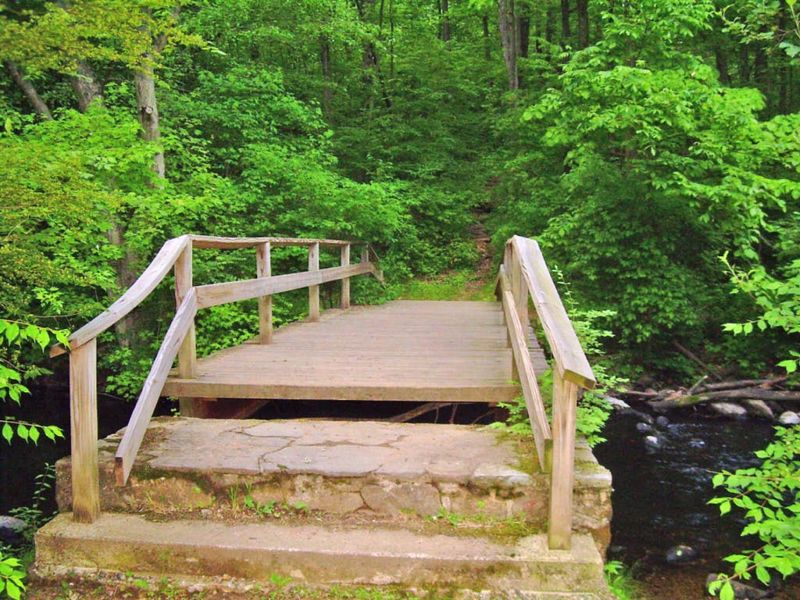 How to Plan Your Visit and Make the Most of It
