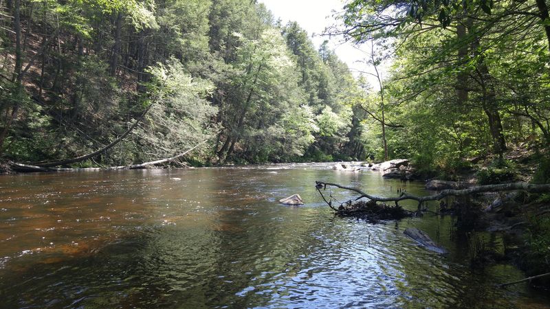 Hunting Season in a Vast Wilderness