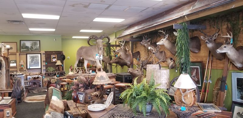Hunting and Wildlife Memorabilia for the Outdoorsy Crowd Hunting and Wildlife Memorabilia for the Outdoorsy Crowd