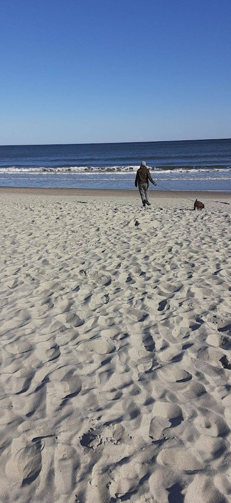 Hunting for Shark Teeth and Shells Along the Shore Is a Real Thrill Hunting for Shark Teeth and Shells Along the Shore Is a Real Thrill