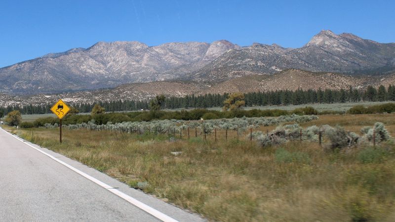 Idyllwild: The Charming Mountain Town Worth the Drive Alone