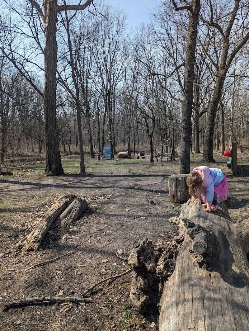 Imagination Grove: A Unique Outdoor Play Space for Kids