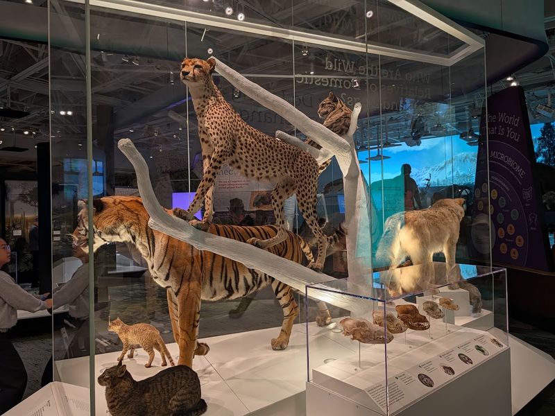 Impressive Taxidermy and Wildlife Displays