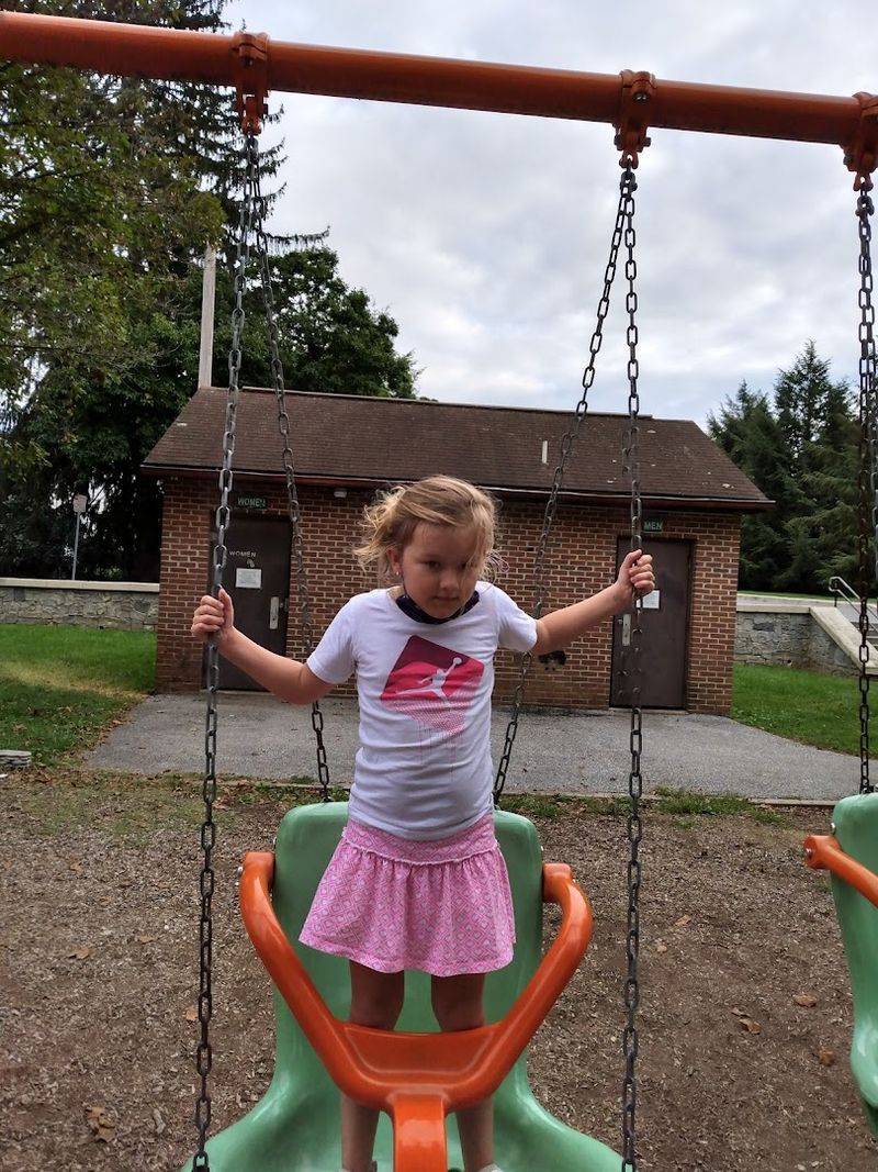 Inclusive Swings for Every Family Member