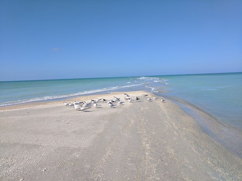 Incredible Birdwatching Across the Island