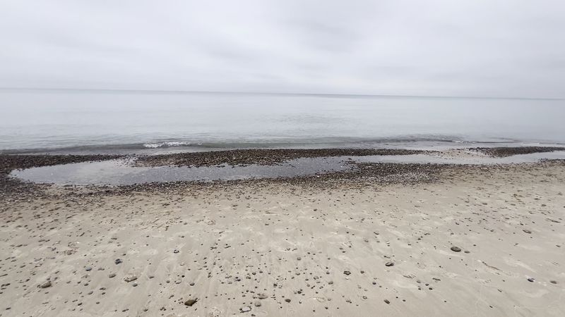 Incredible Rock and Driftwood Collecting Along the Shore