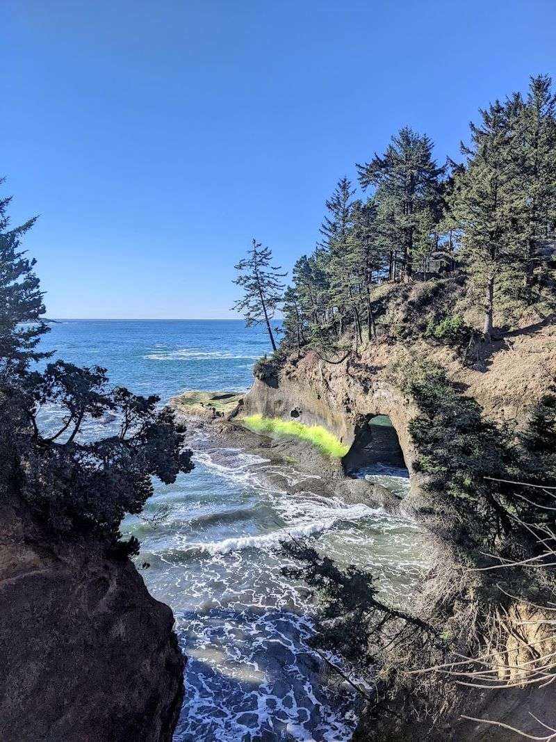 Incredible Tide Pools for Curious Explorers