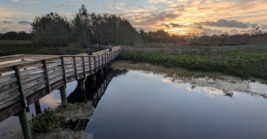 Incredibly Beautiful Nature Preserve in Florida That Most People Have Never Heard of