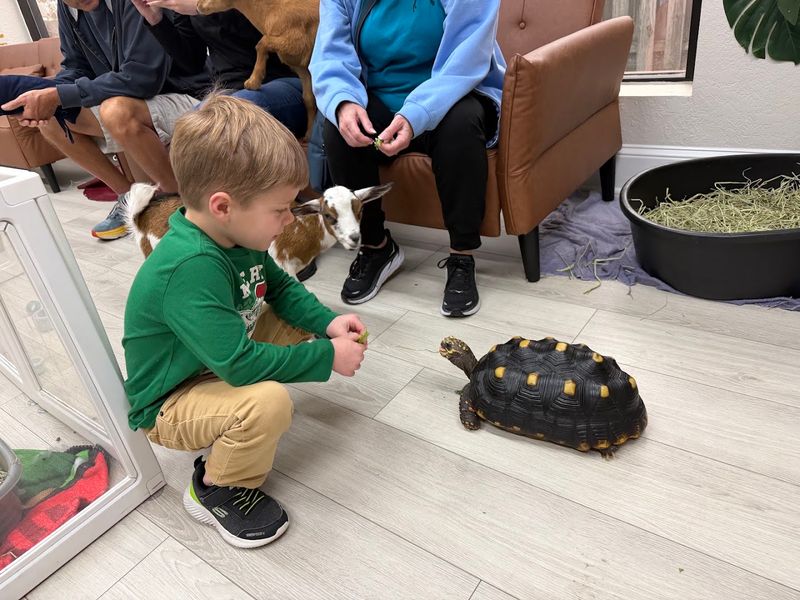 Is It Kid-Friendly? Absolutely.