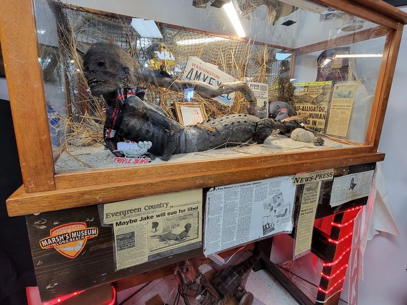 Jake the Alligator Man: The Legend Behind the Glass