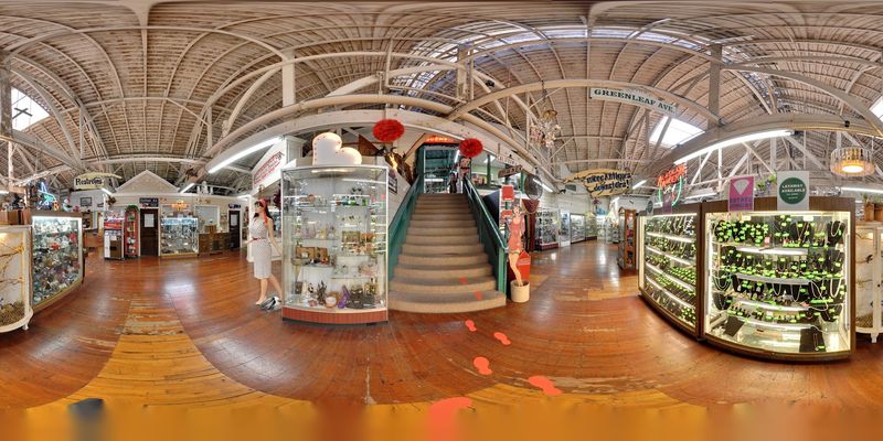 Jewelry, Collectibles, and Hidden Gems Around Every Corner Jewelry, Collectibles, and Hidden Gems Around Every Corner