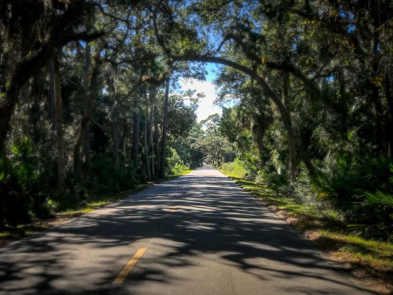 John Anderson Drive: A Road With Stories to Tell John Anderson Drive: A Road With Stories to Tell
