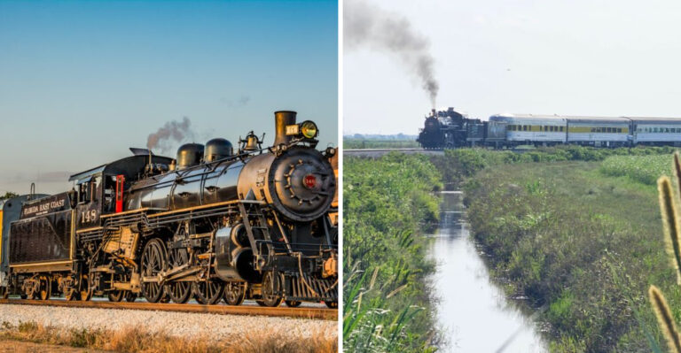 Journey Through Charming Towns And Scenic Sugarcane Fields On This Beautiful Florida Train Ride