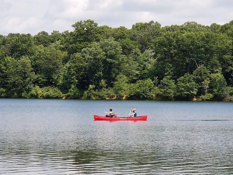 Kayak, Canoe, and Paddle Boat Rentals on the Water Kayak, Canoe, and Paddle Boat Rentals on the Water