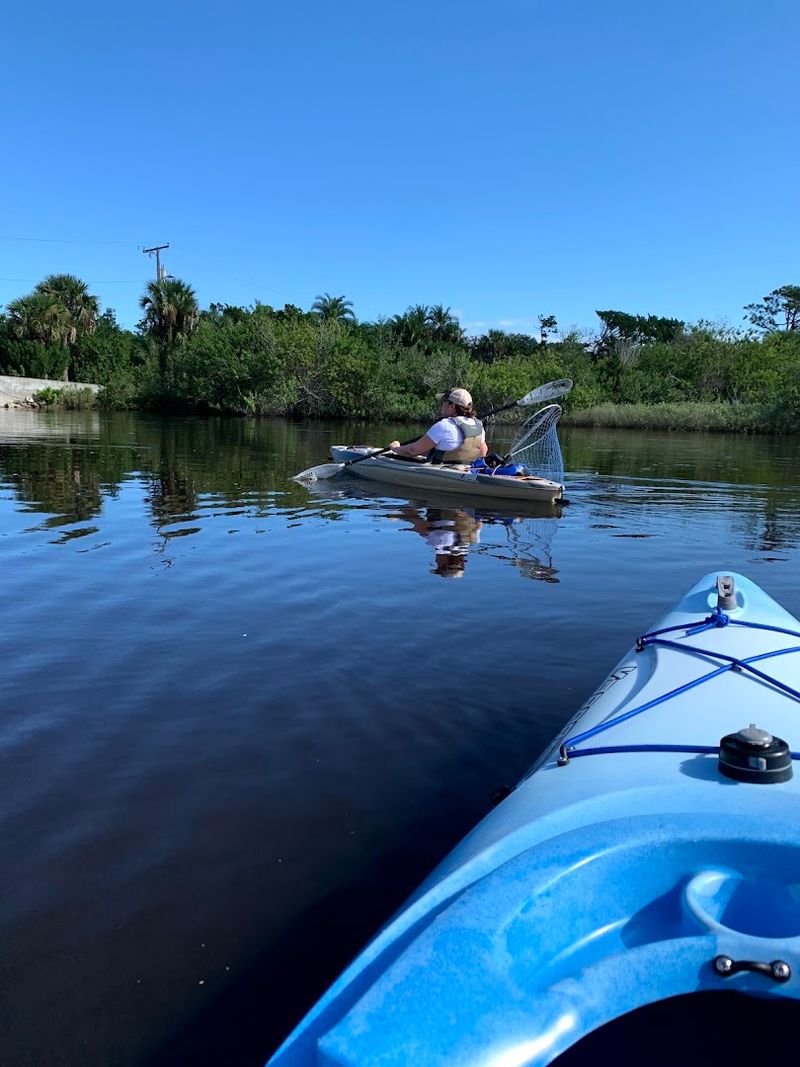Kayaking Through Tidal Creeks and Mangroves Kayaking Through Tidal Creeks and Mangroves
