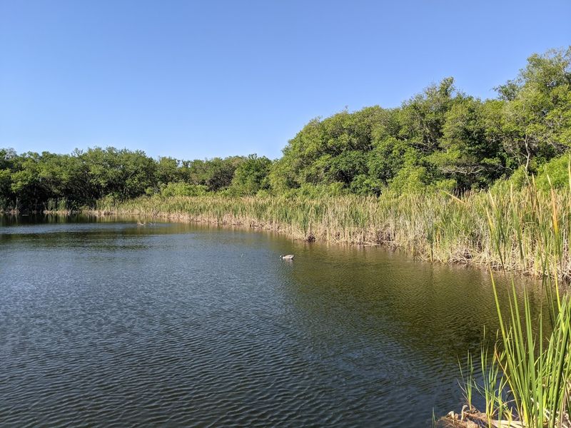 Kayaking and Canoeing Options for Every Skill Level