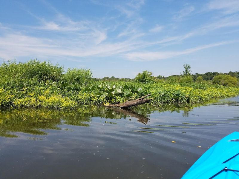 Kayaking and Canoeing on Tuckahoe Creek