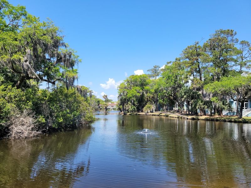 Kayaking and Paddleboarding Through Tidal Creeks
