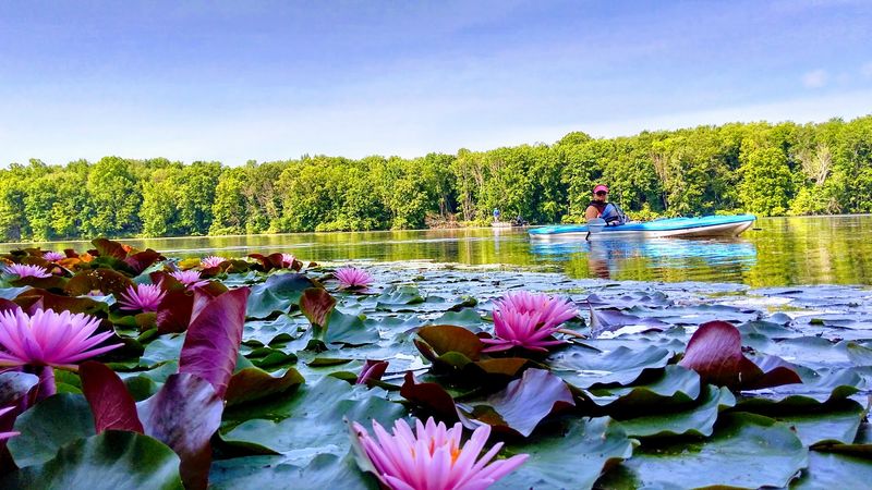 Kayaking and Paddling Through Scenic Coves Kayaking and Paddling Through Scenic Coves