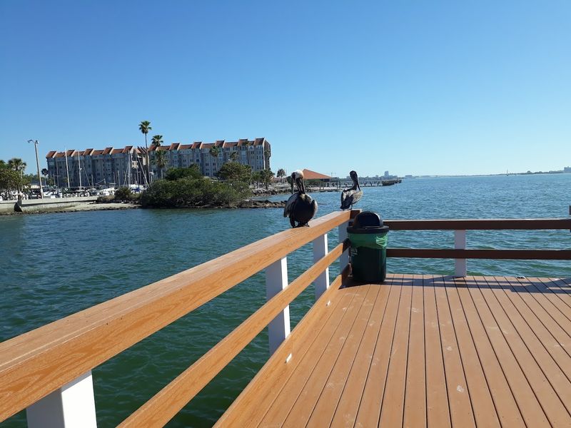 Kayaking and Water Activities