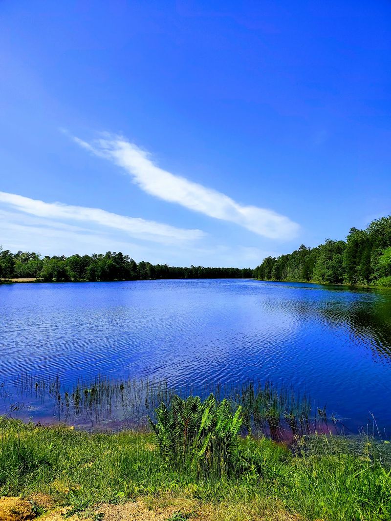 Kayaking on Batsto Lake