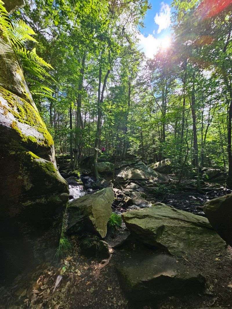 Kettle Ponds Hidden Along the Trail
