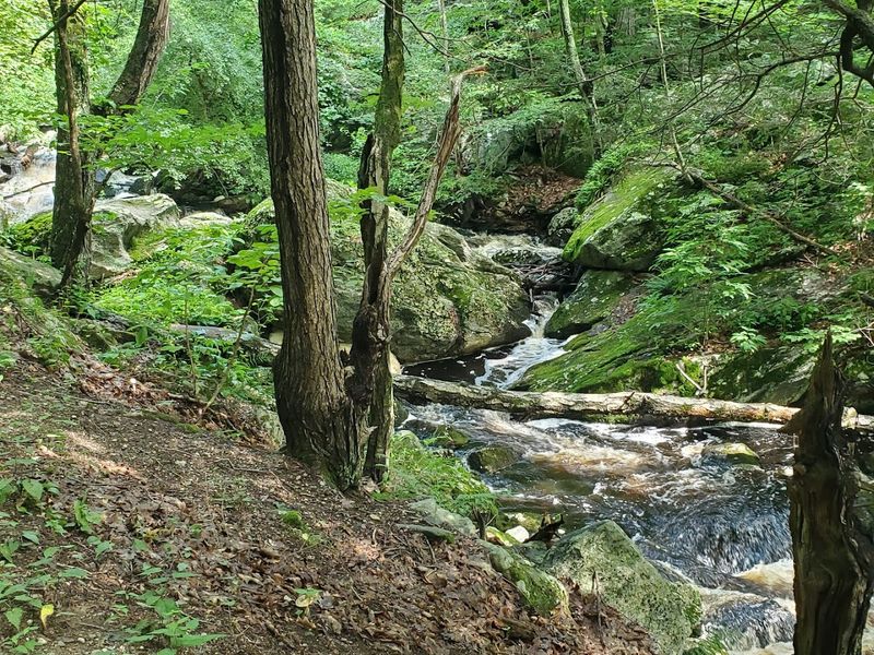 Kid-Friendly Hiking at Danforth Falls