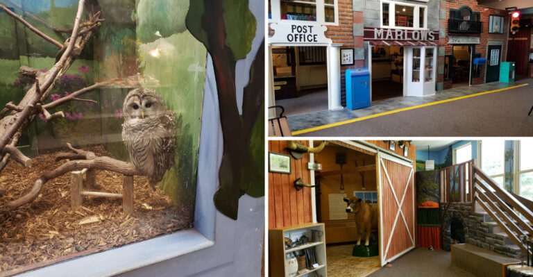 Kids Can’t Get Enough Of This Wonderful Children’s Museum In Connecticut