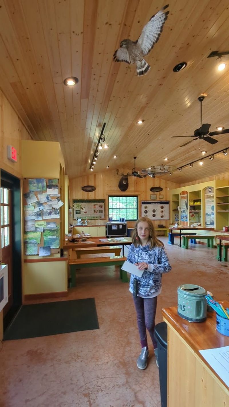 Kids' Day Activities That Keep Changing Every Visit