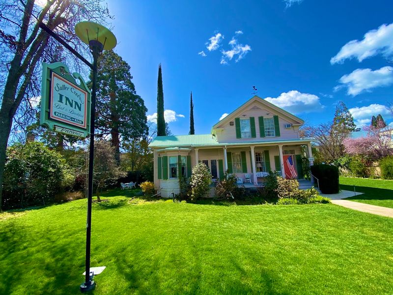 Knauth Park: A Green Oasis in the Heart of Town