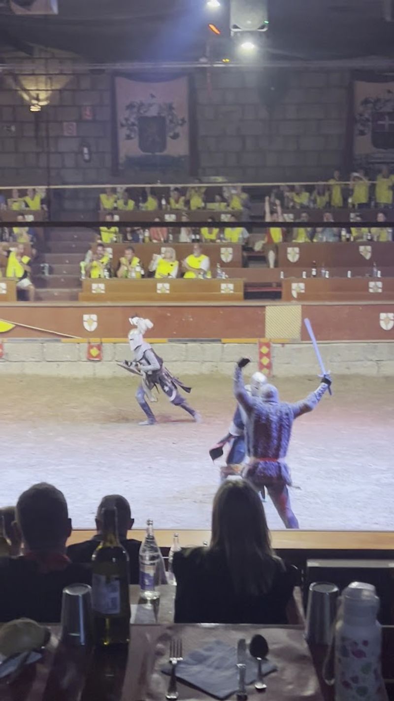 Knights Whose Jousting Skills Will Leave You Speechless