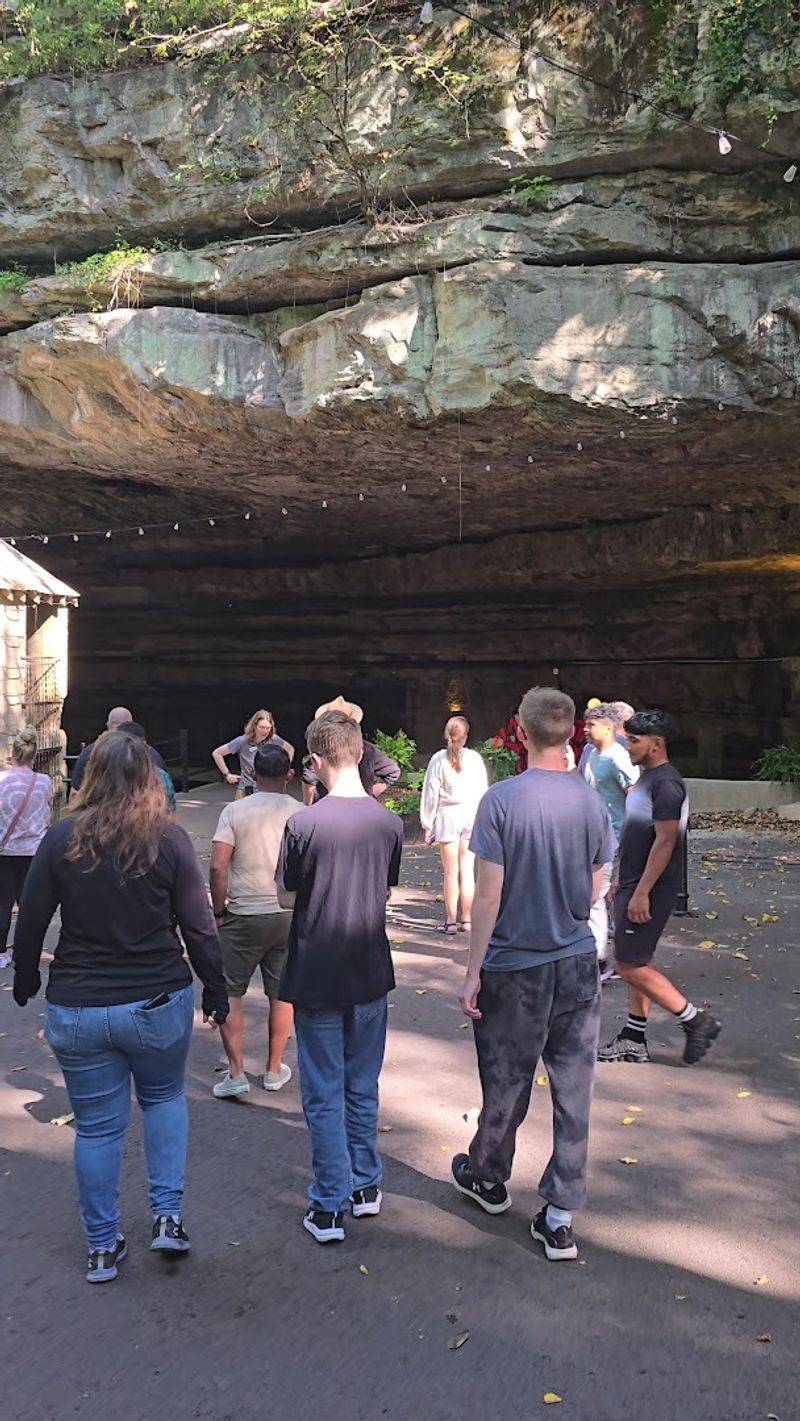 Knowledgeable and Entertaining Tour Guides