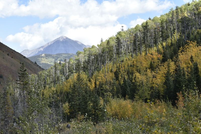 La Veta: The Charming Small Town at the Heart of It All