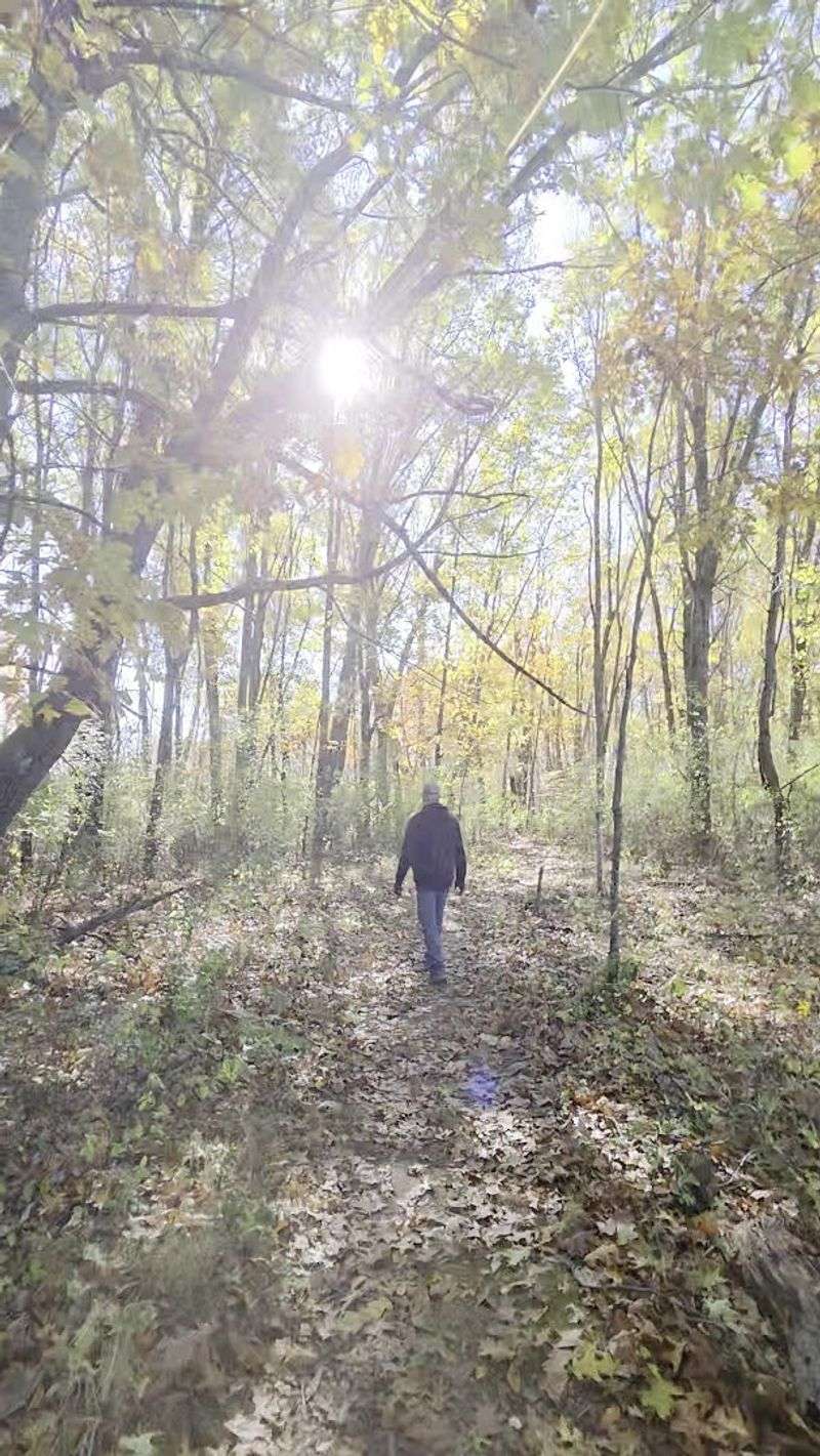 Labeled Trees: Learn While You Walk Labeled Trees: Learn While You Walk