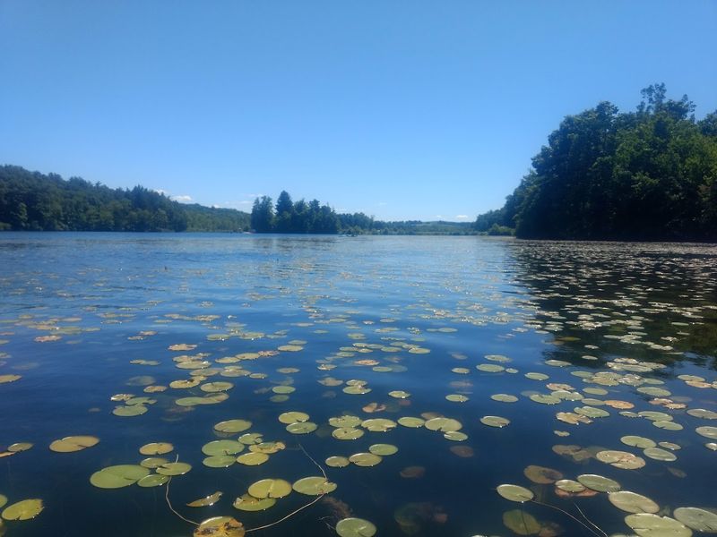 Lake Aeroflex: New Jersey's Deepest Natural Lake Lake Aeroflex: New Jersey's Deepest Natural Lake