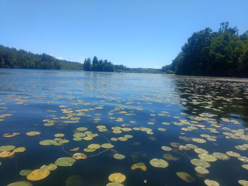 Lake Aeroflex: The Deepest Natural Lake in New Jersey Lake Aeroflex: The Deepest Natural Lake in New Jersey