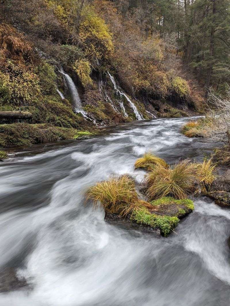 Lake Britton — The Park's Hidden Bonus Attraction