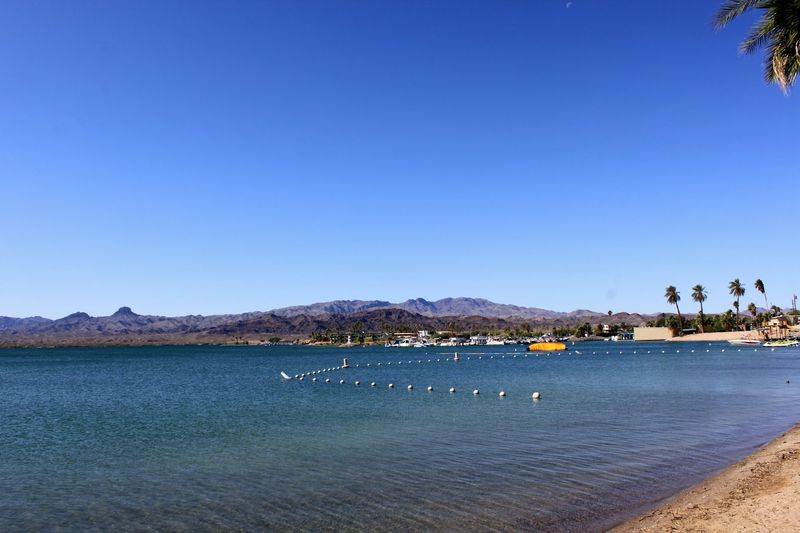 Lake Havasu State Park Beaches Lake Havasu State Park Beaches