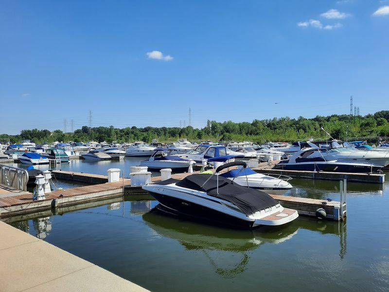 Lake Michigan Fishing Adventures