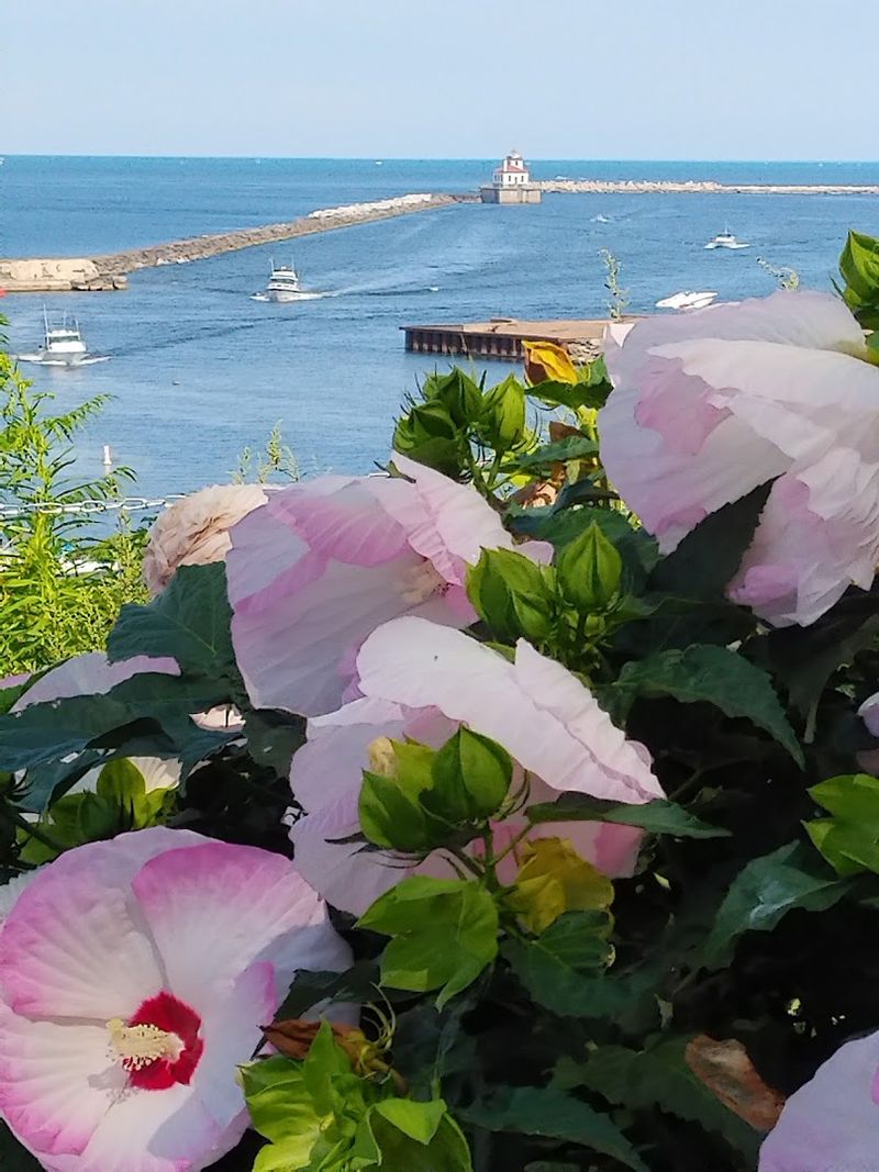 Lake Ontario Views That Feel Like a Daily Vacation