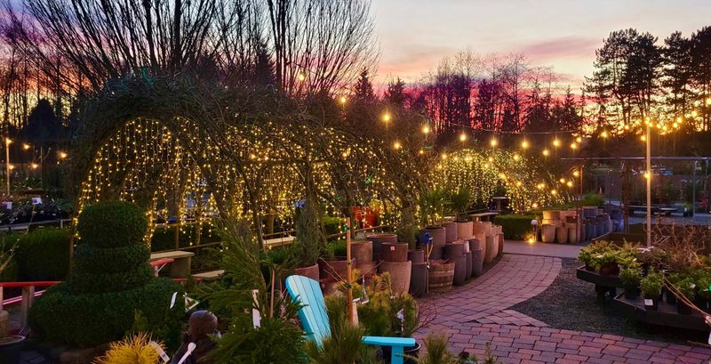 Landscape Design Services That Transform Outdoor Spaces