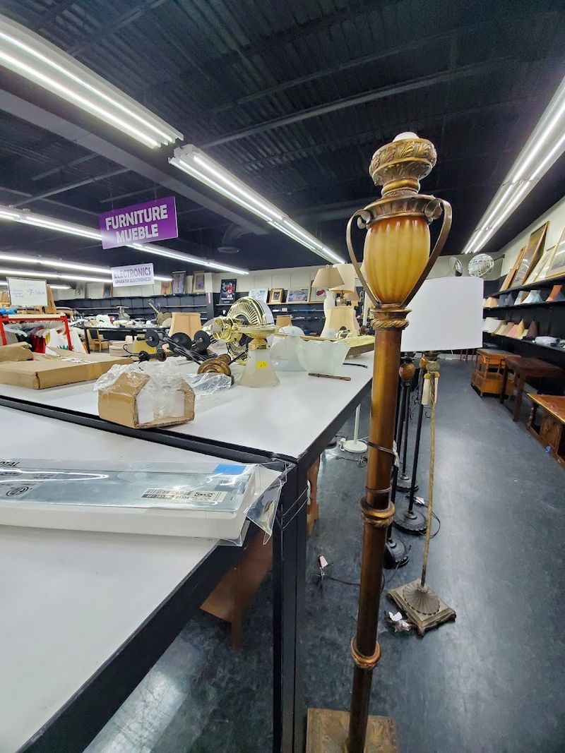 Lawn Equipment and Outdoor Finds You Would Not Expect Lawn Equipment and Outdoor Finds You Would Not Expect