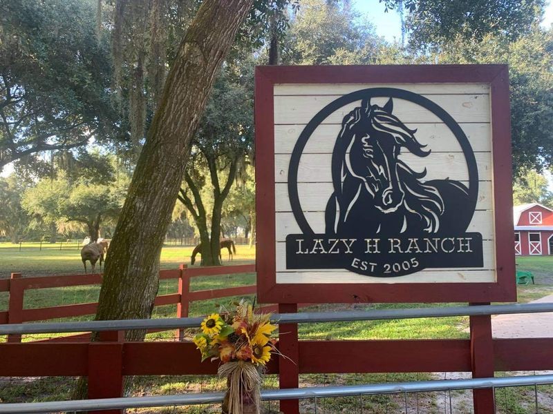 Lazy H Ranch Trail Rides - Kissimmee, Florida Lazy H Ranch Trail Rides - Kissimmee, Florida