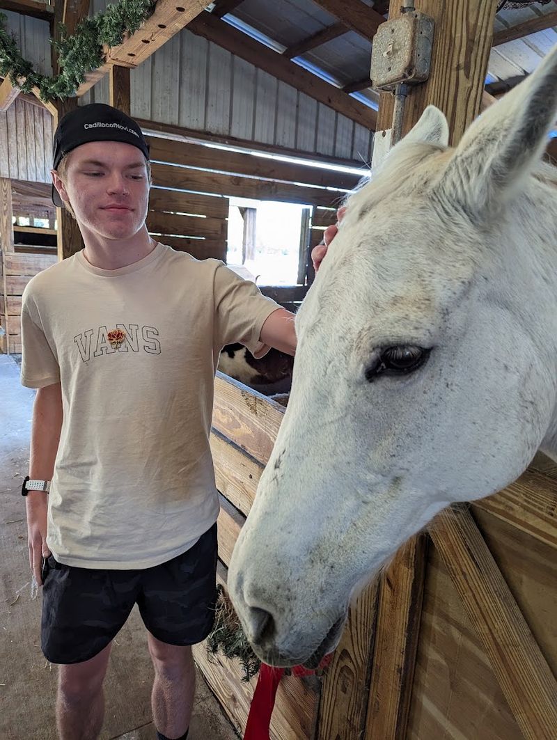 Learning About Horse Breeds and Farm Life Learning About Horse Breeds and Farm Life