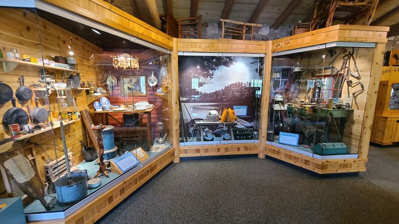 Learning About Wildfires and Forest Recovery