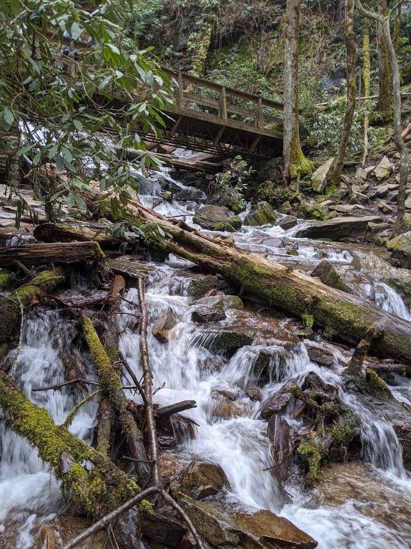 Leave No Trace: Respecting This Special Place Leave No Trace: Respecting This Special Place