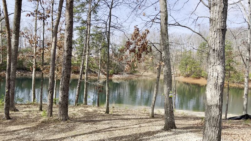 Legacy Trail Hike: Adventure Meets Natural Beauty
